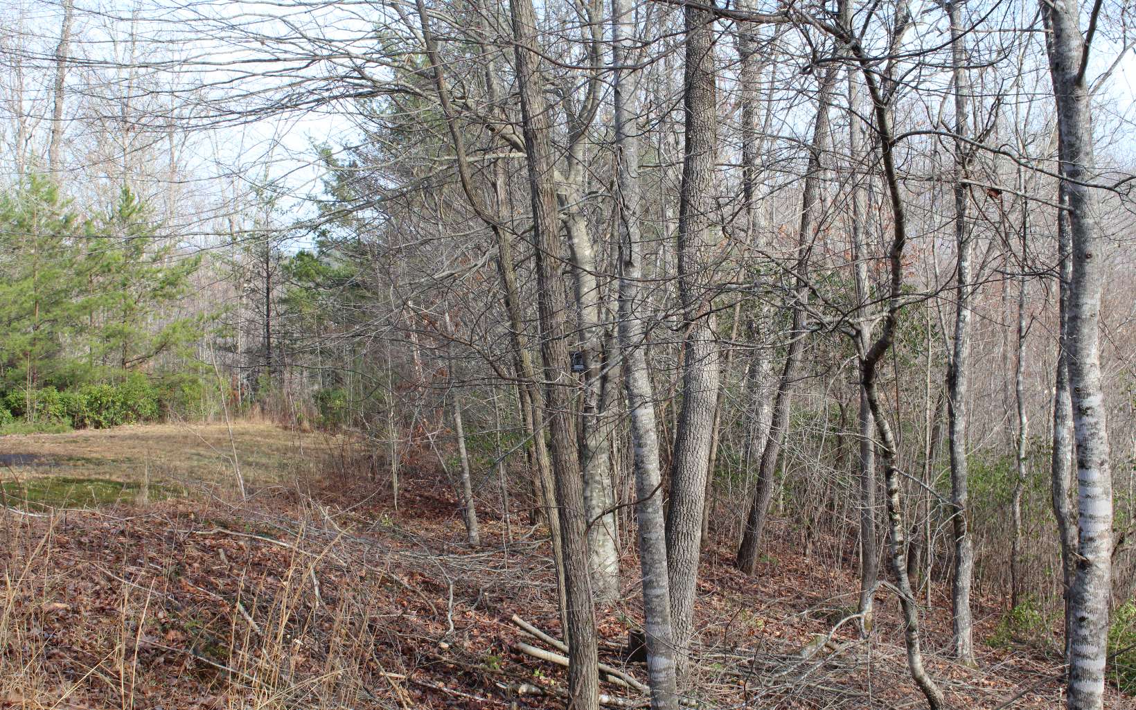 7 Fodder Creek Mill Road