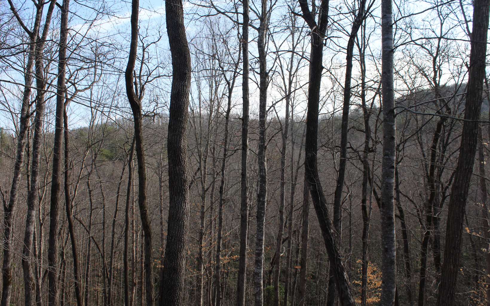 7 Fodder Creek Mill Road