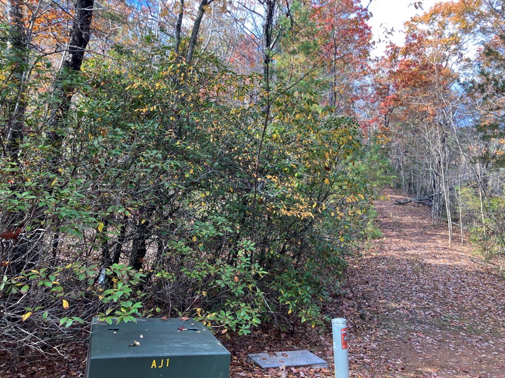 LT24 Mission Ridge Court