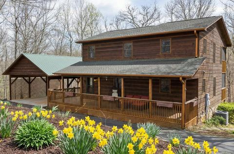 161 Arbor Way Blue Ridge GA 30513