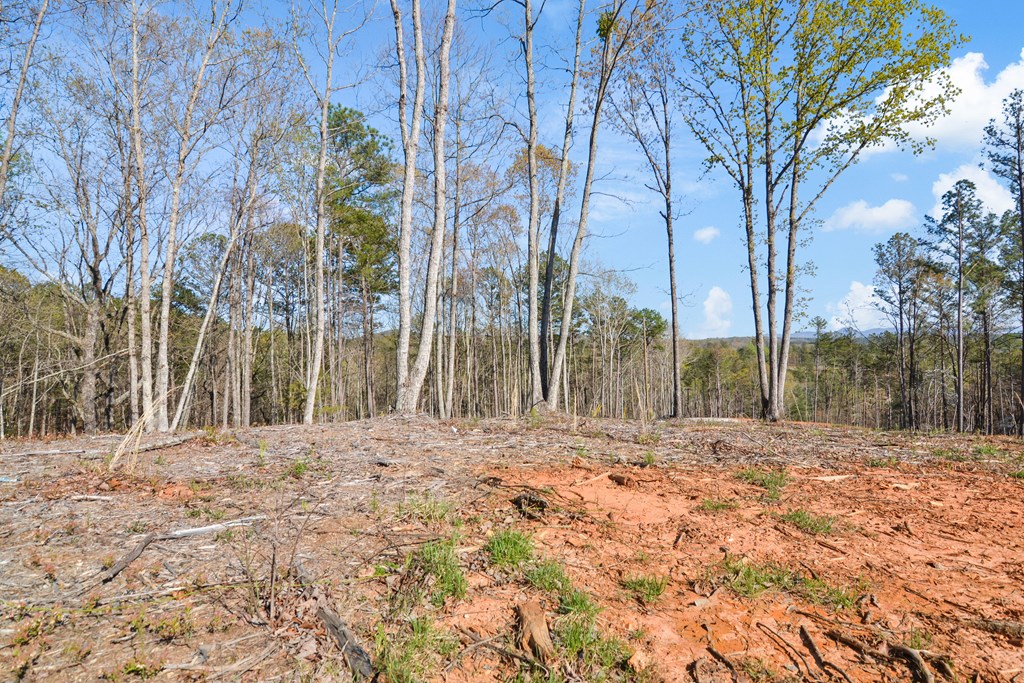 Ellijay, Georgia 30540, United States, ,Land,Active,60954