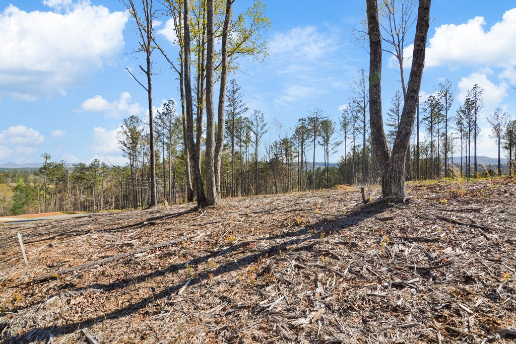 Ellijay, Georgia 30540, United States, ,Land,Active,60954