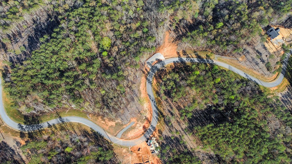 Ellijay, Georgia 30540, United States, ,Land,Active,60954