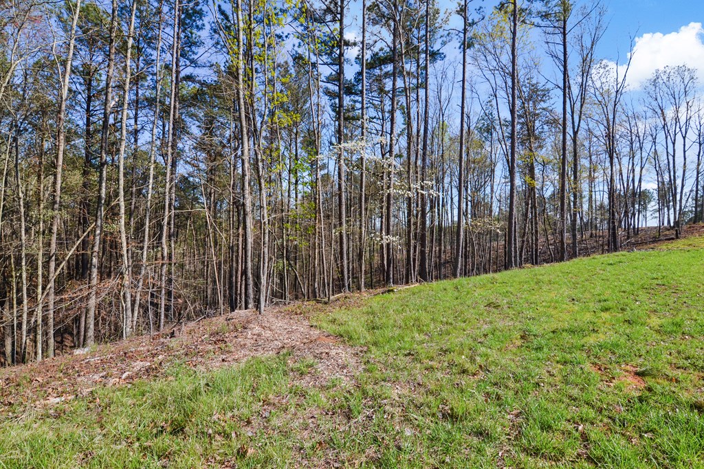 Ellijay, Georgia 30540, United States, ,Land,Active,60954