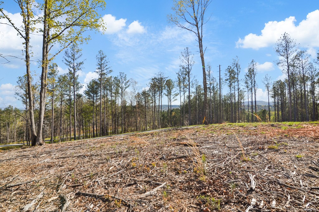 Ellijay, Georgia 30540, United States, ,Land,Active,60954