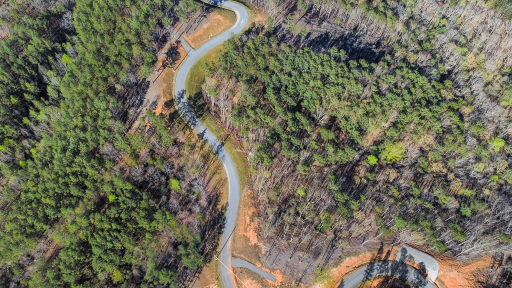 Ellijay, Georgia 30540, United States, ,Land,Active,60954