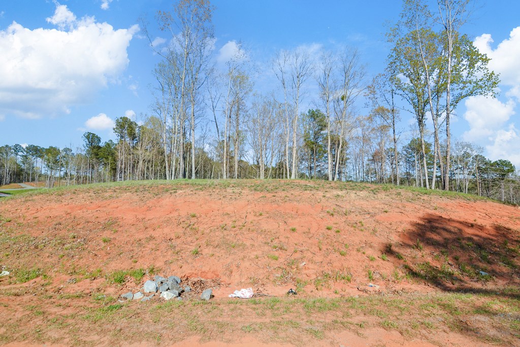 Ellijay, Georgia 30540, United States, ,Land,Active,60954