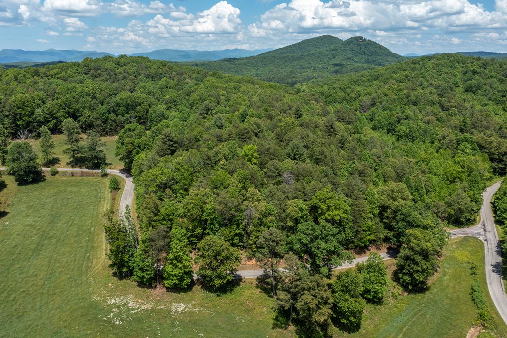 4.0 acre Donley Road