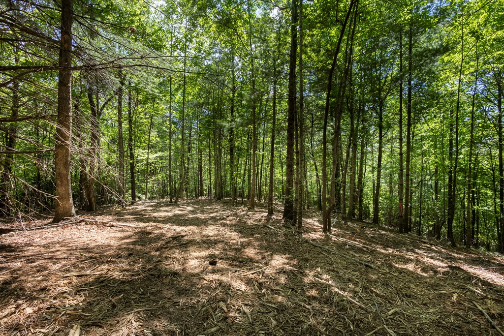 4.0 acre Donley Road