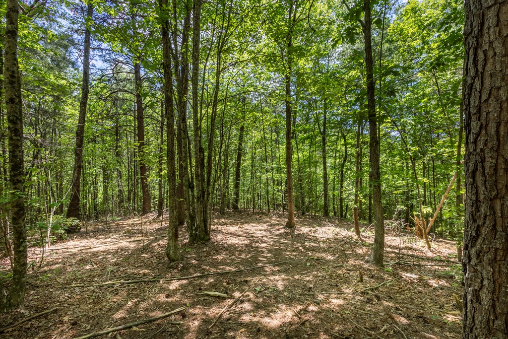 4.0 acre Donley Road