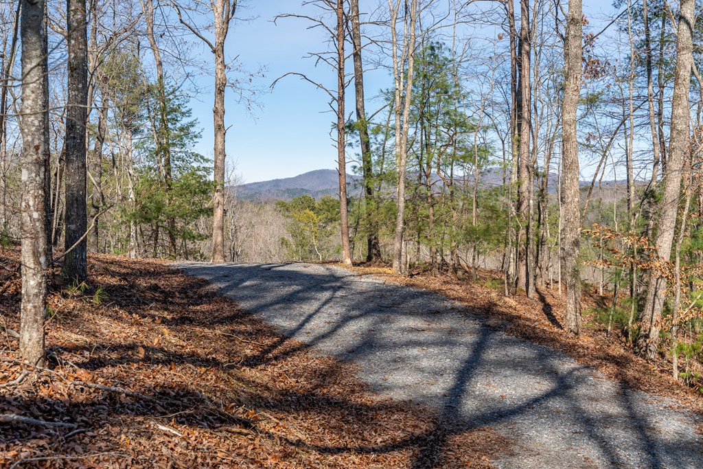 Lot 32R Woodring Branch Road