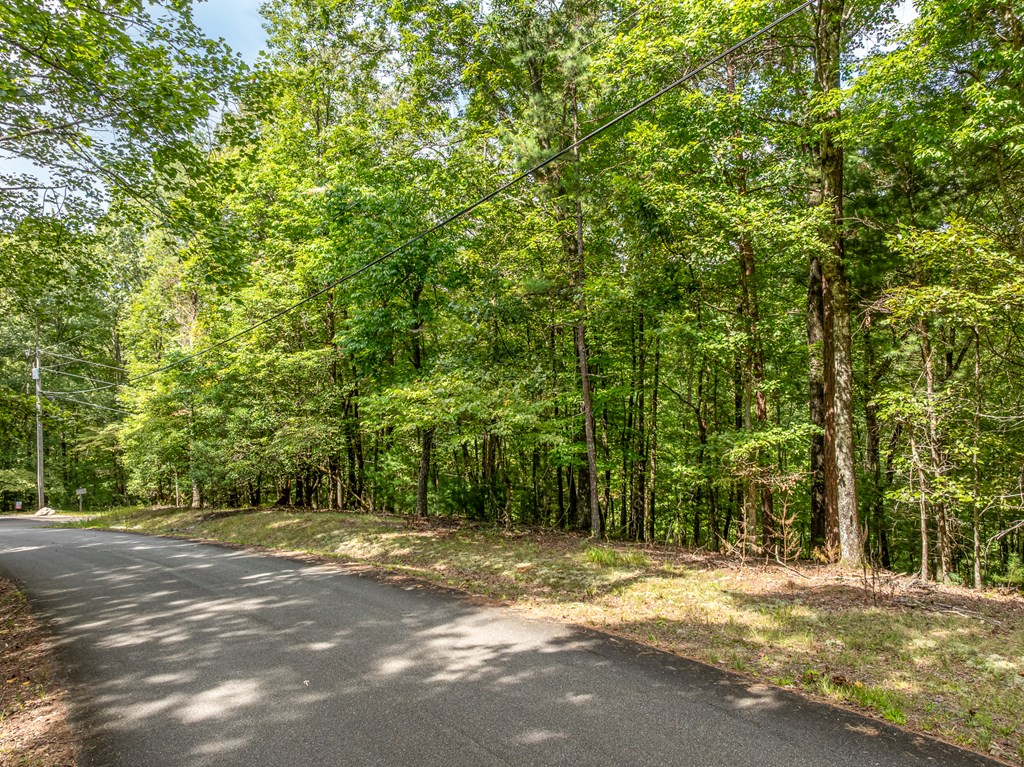 Lot 272 Seneca Drive
