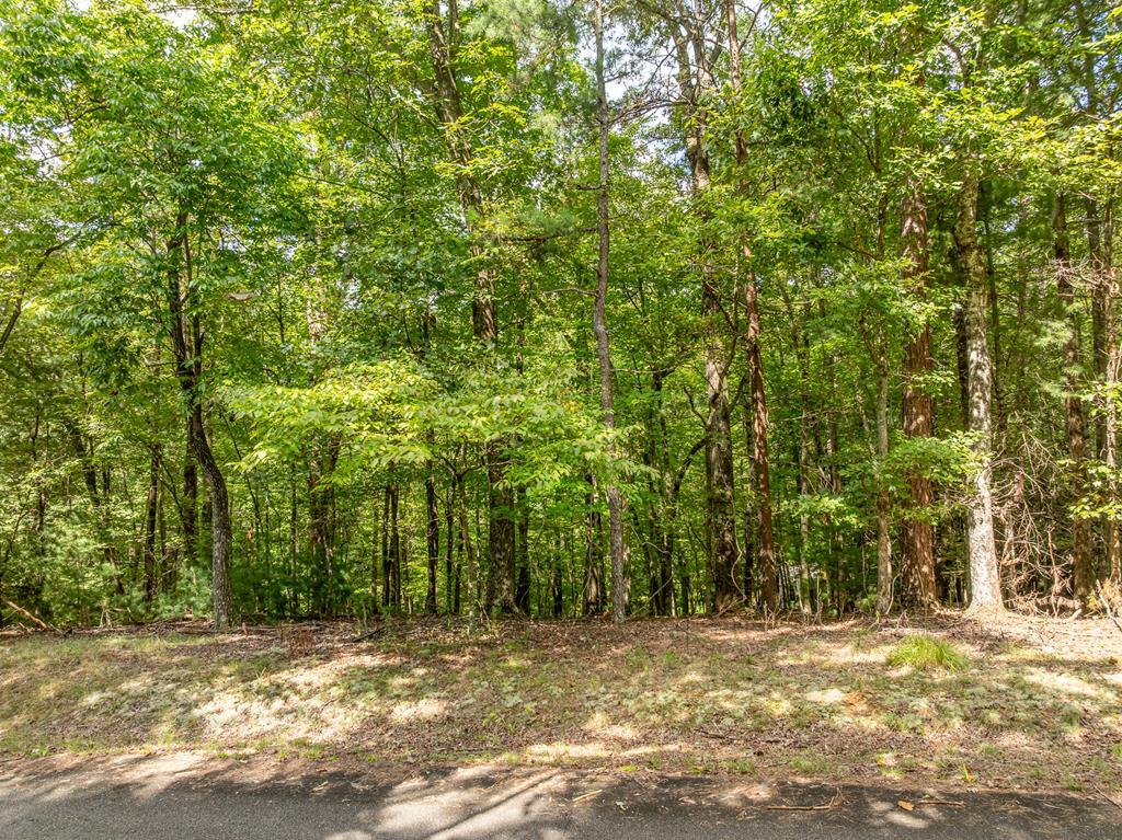 Lot 272 Seneca Drive