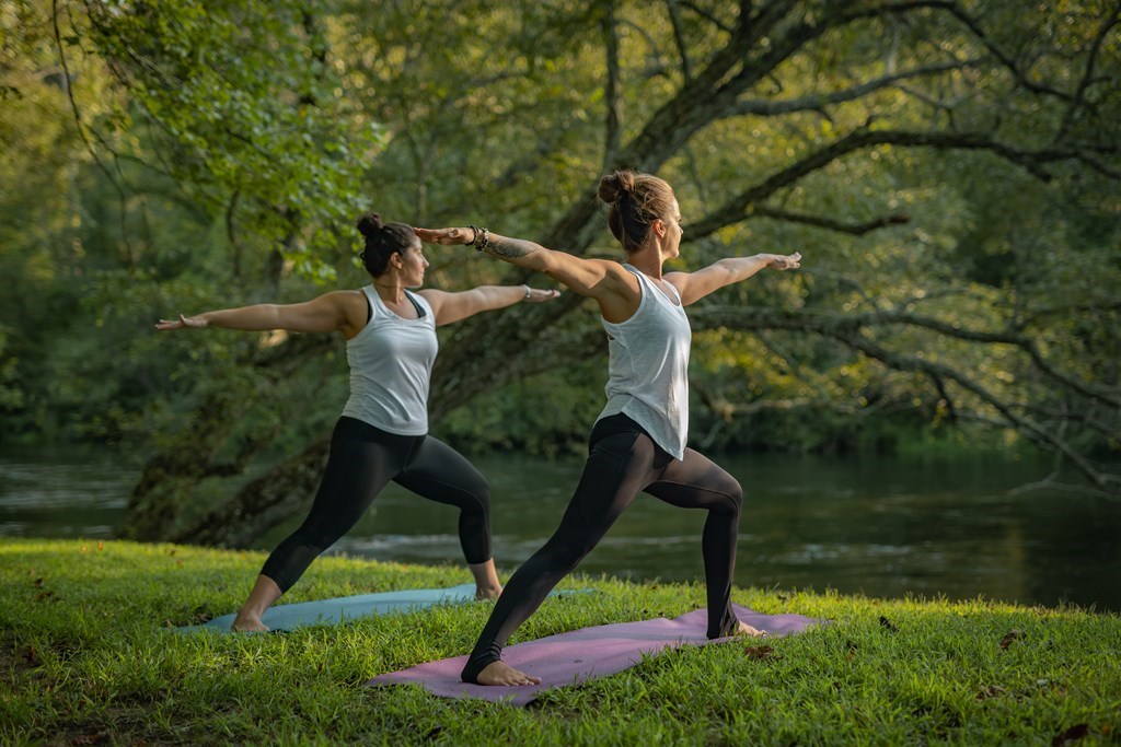 Lot 215 Old Toccoa Loop