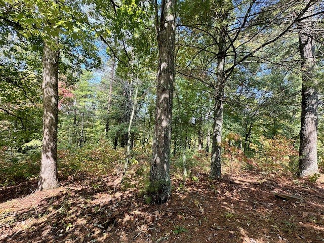 Lot 215 Old Toccoa Loop