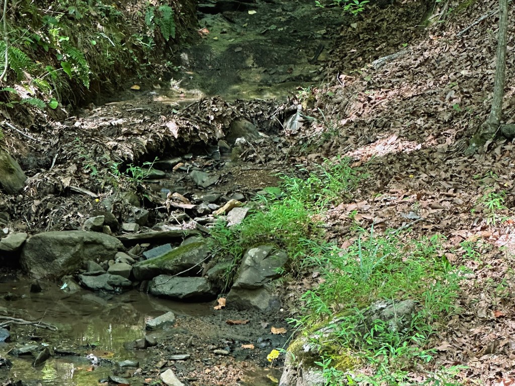 Lot 57 Asheland Cove Drive