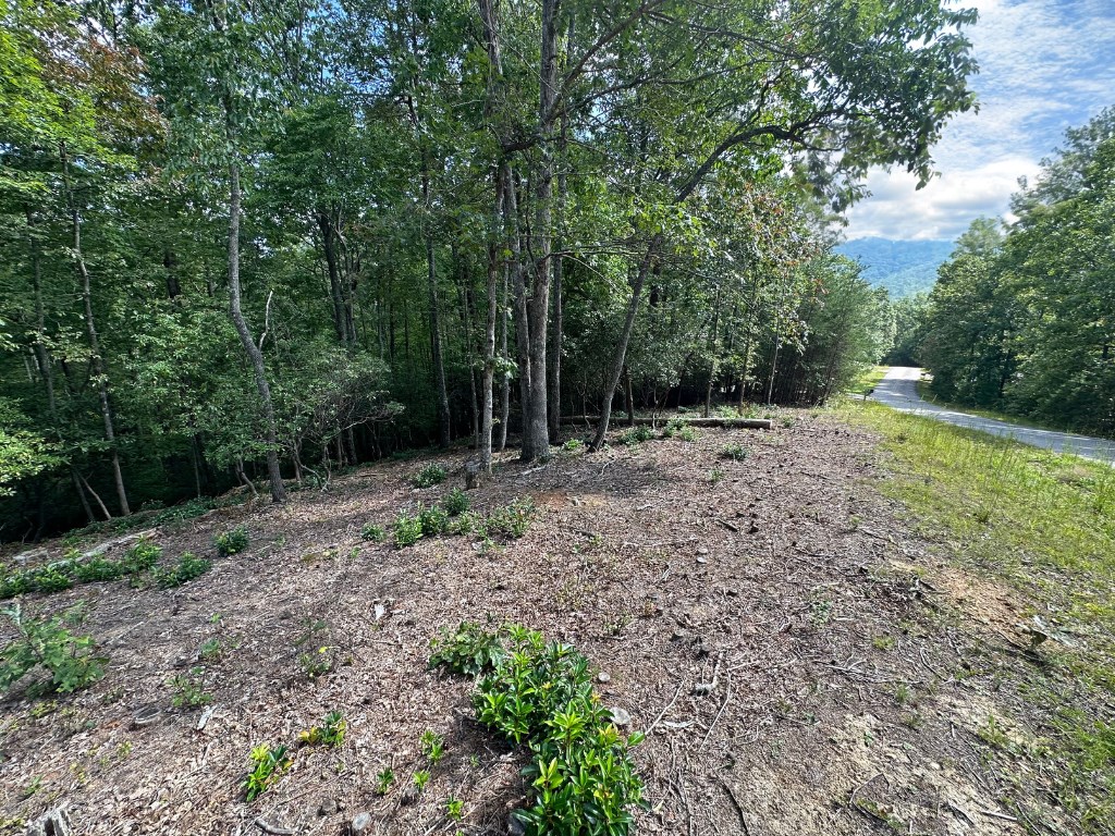 Lot 57 Asheland Cove Drive