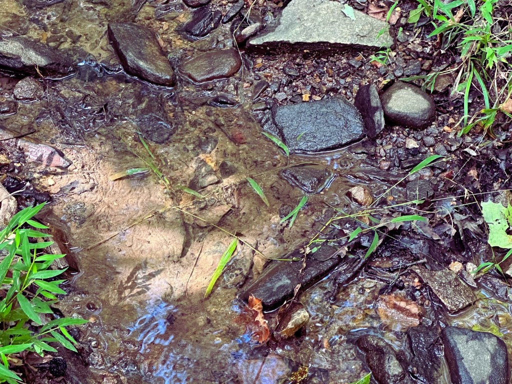 Lot 57 Asheland Cove Drive