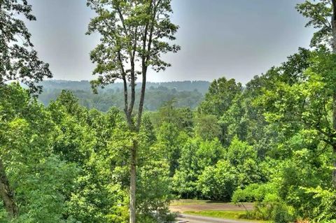 A home in Blue Ridge