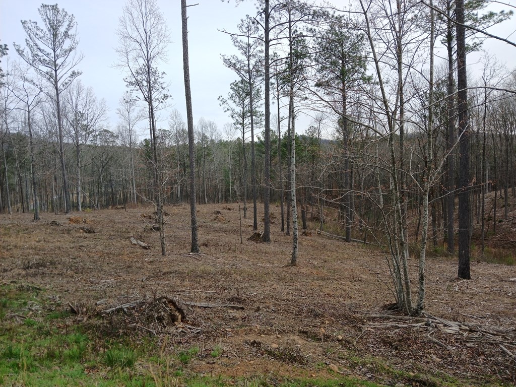 Lot 337 Timber Creek Trail