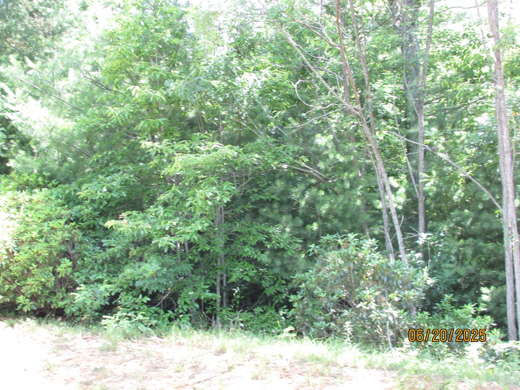 #10 Shelton Springs S/D