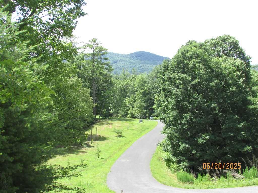 #10 Shelton Springs S/D