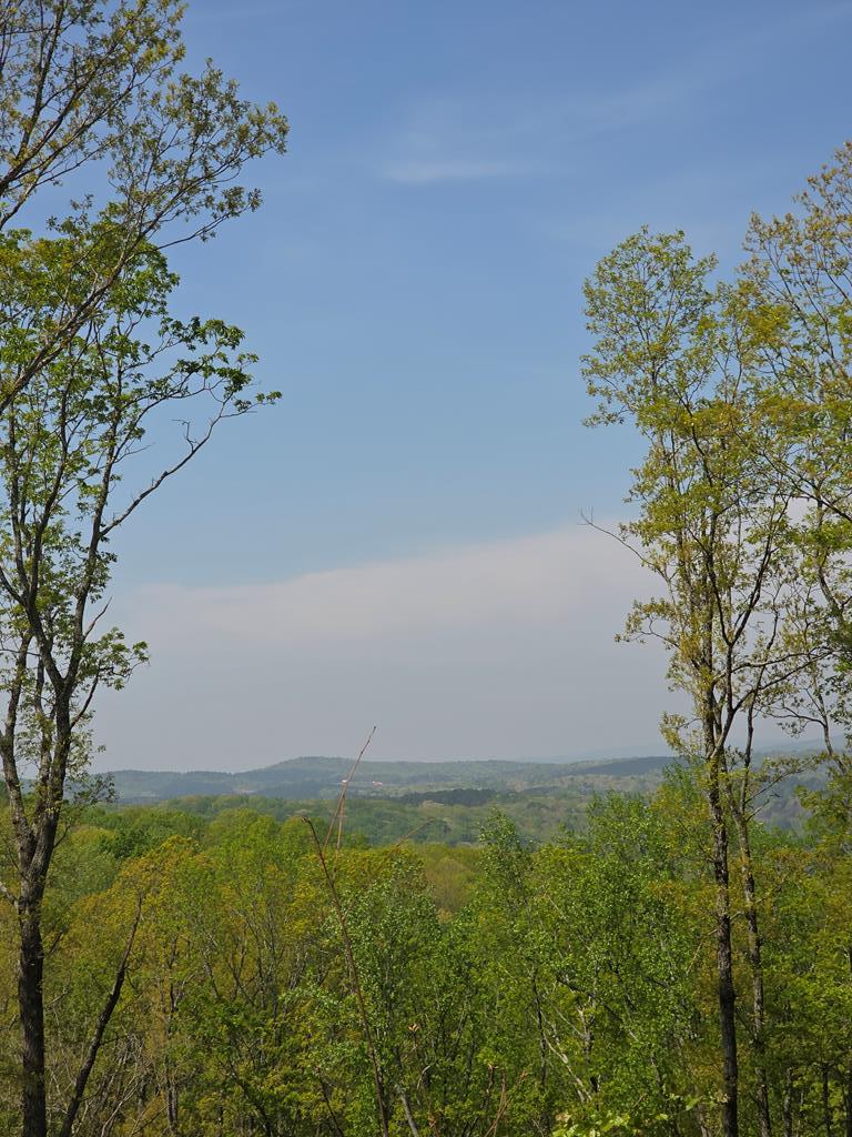 Lot 105 Twisted Oak Road