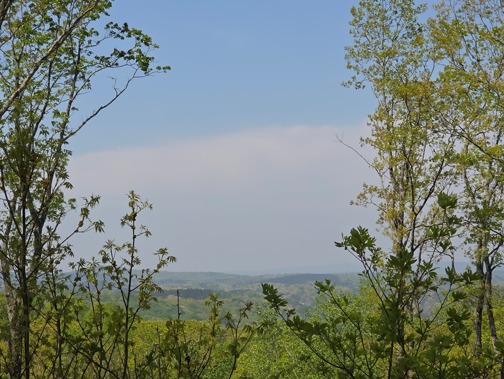 Lot 105 Twisted Oak Road