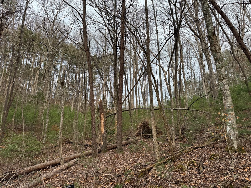 29,30 Sunset Drive W