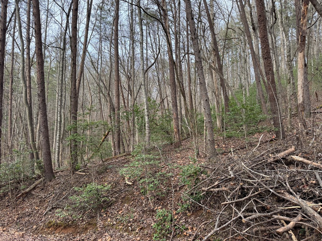 29,30 Sunset Drive W