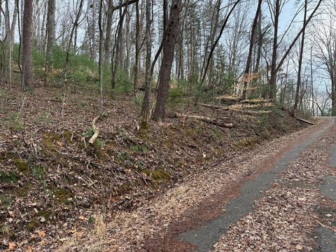 29,30 Sunset Drive W Young Harris GA 30585