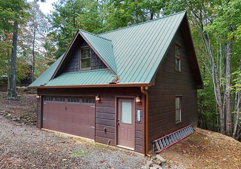 A home in Mineral Bluff