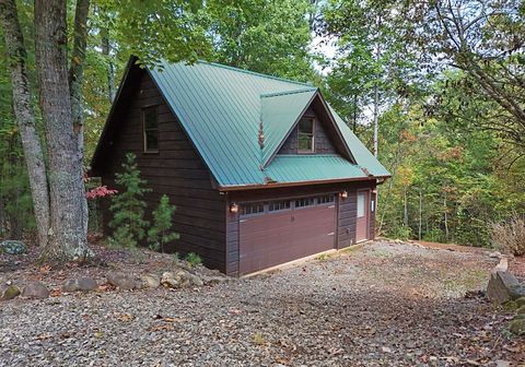 A home in Mineral Bluff