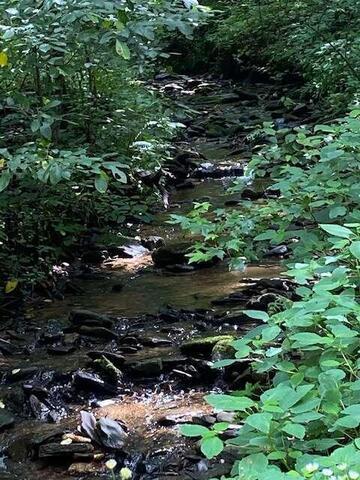 00 Seven Springs Road