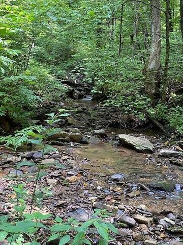 00 Seven Springs Road