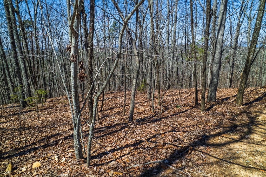 Lot 35 Heatherwood Way