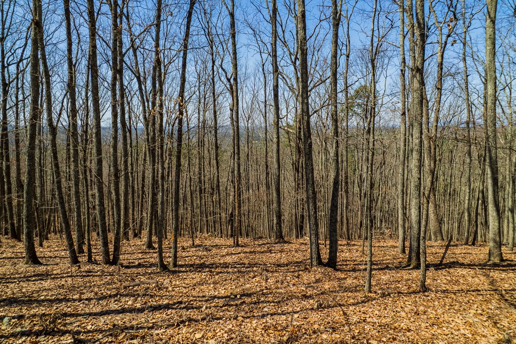 Lot 35 Heatherwood Way