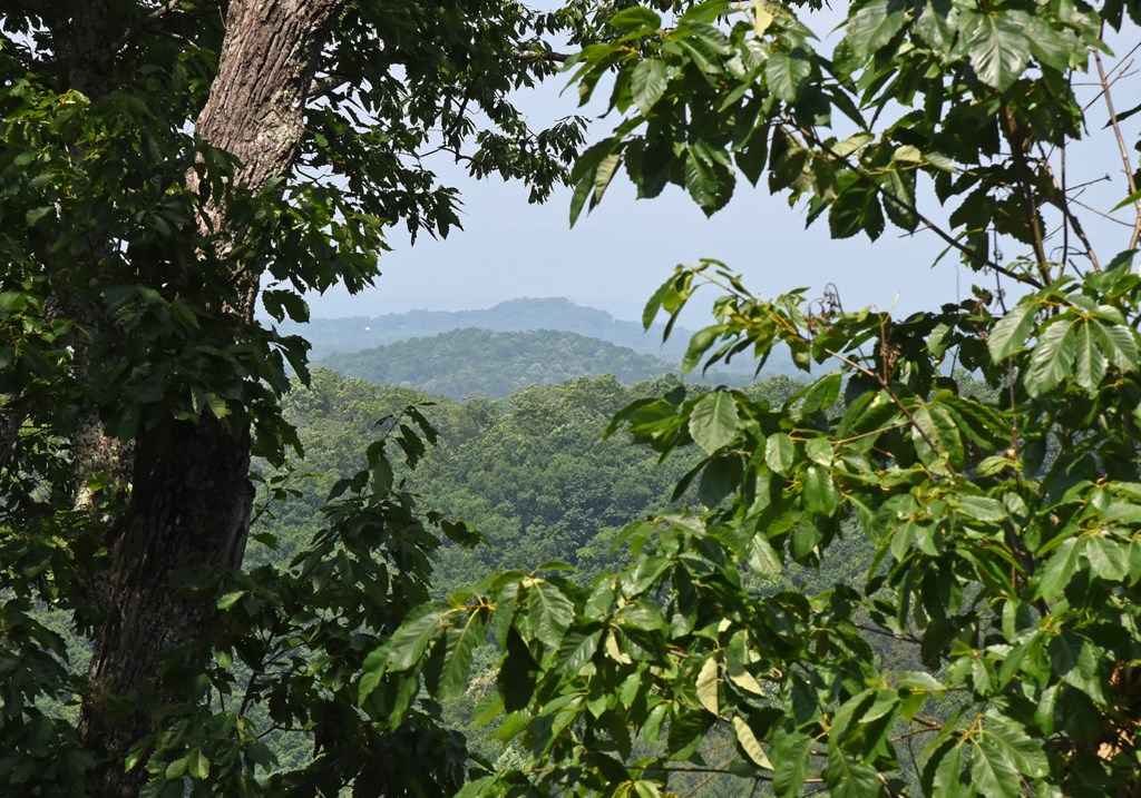 97 Deer Ridge