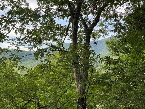 A home in Hayesville