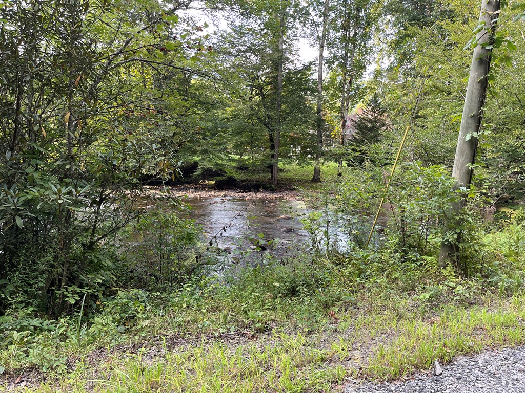 4506 Downings Creek Road