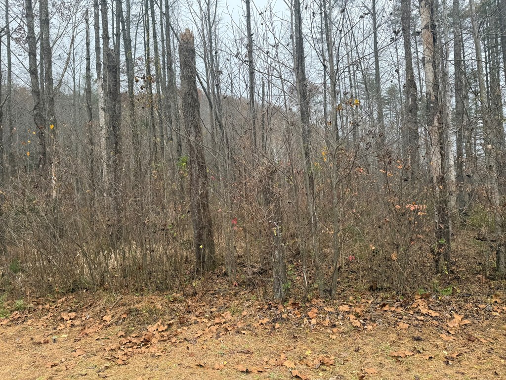 0 Rushing Water Trail