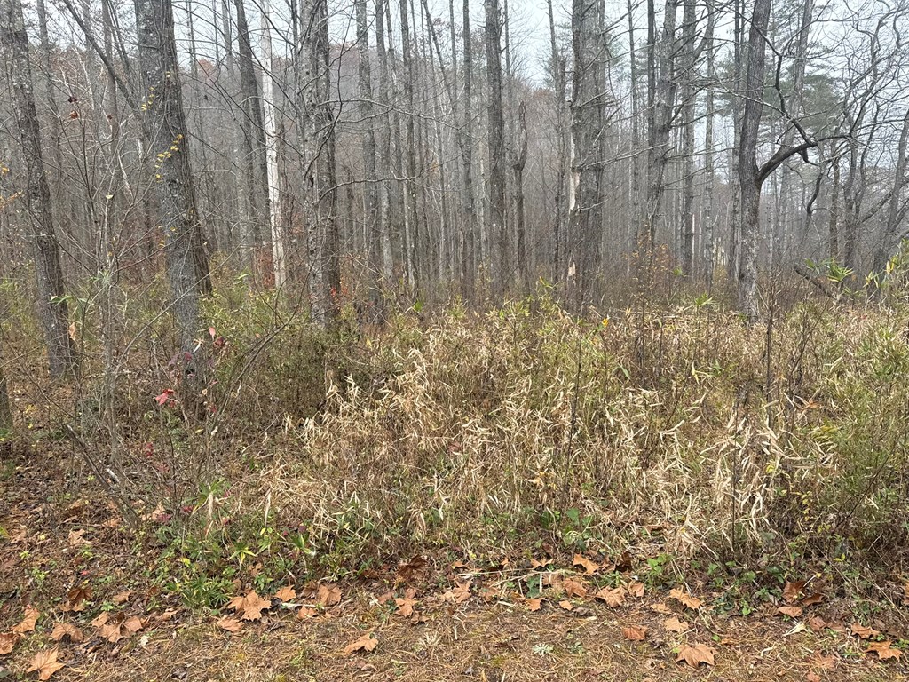 0 Rushing Water Trail