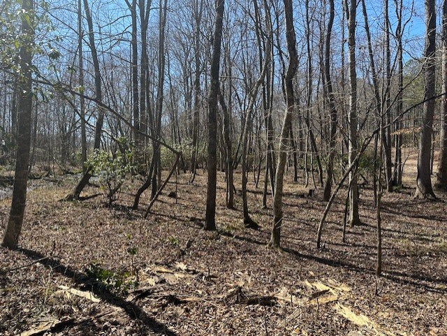 Lot 16 Bravo Way