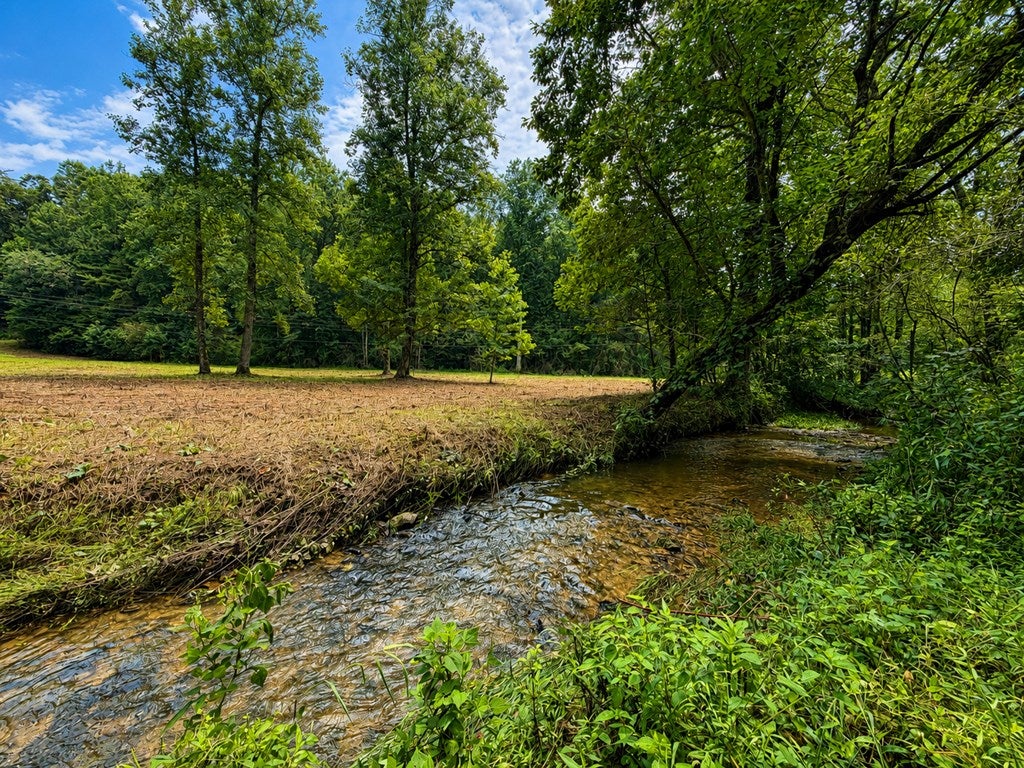 4.06 AC Licklog Trail