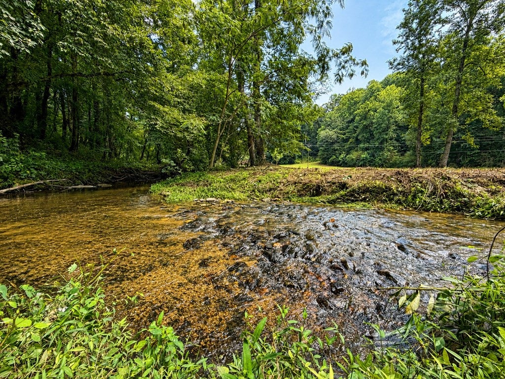 4.06 AC Licklog Trail