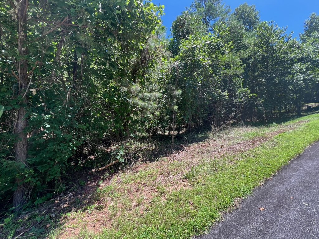 64 Meadow Brooke Drive