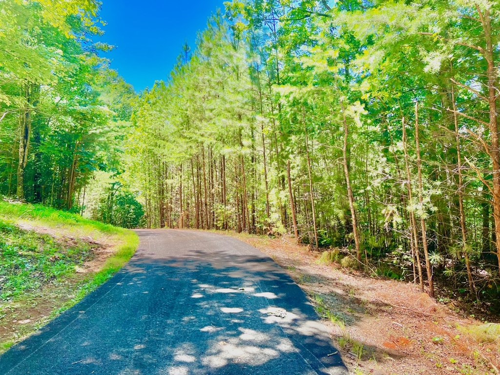 64 Meadow Brooke Drive