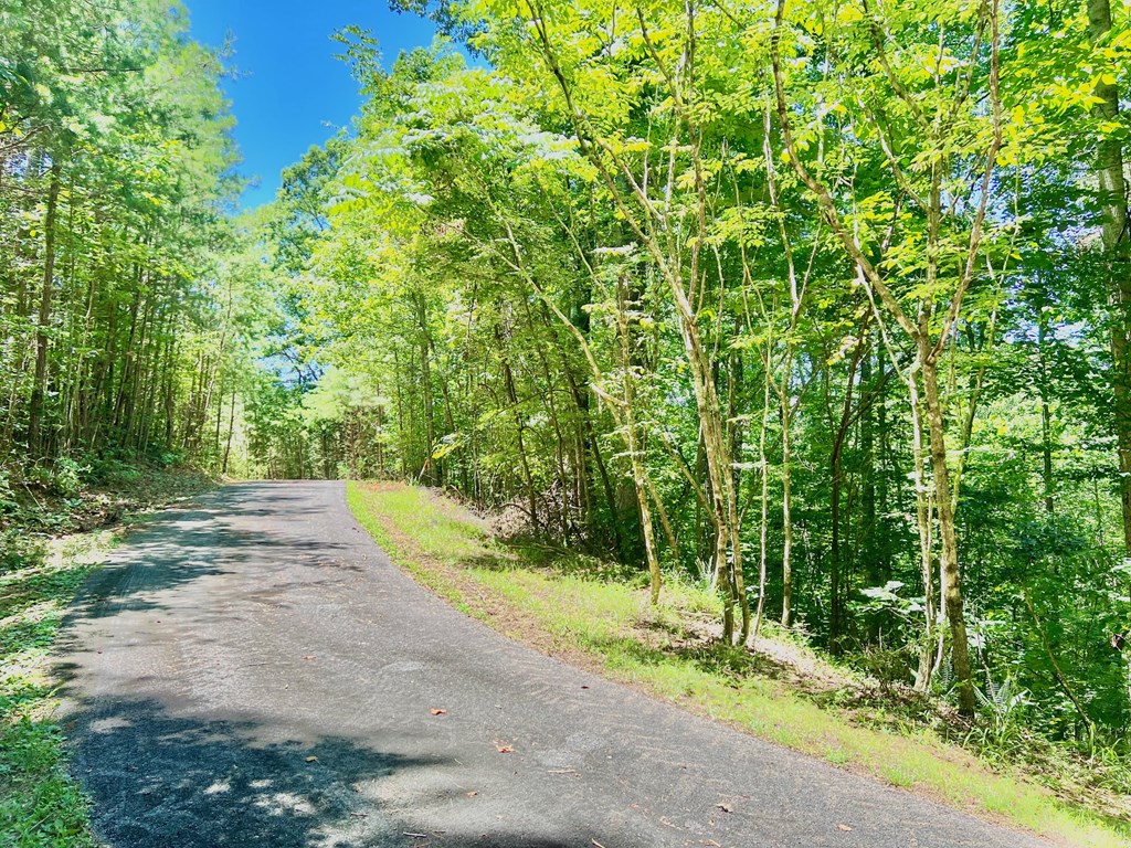 64 Meadow Brooke Drive