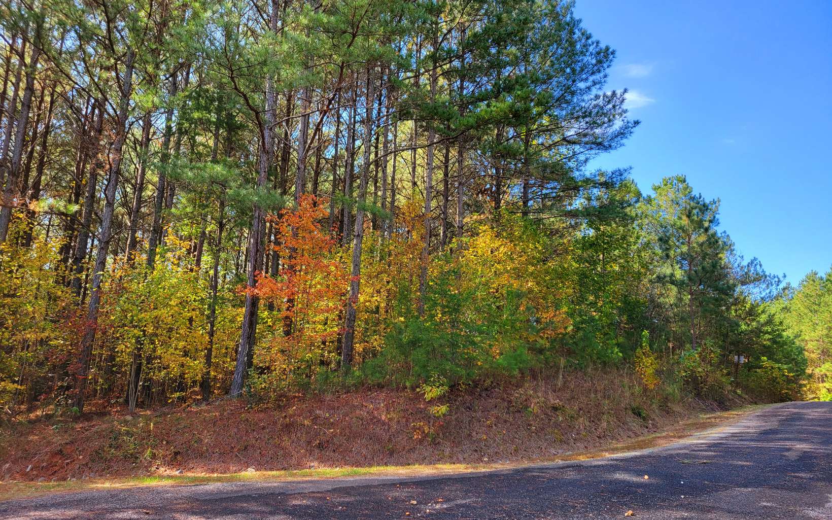 LOT 7 Ridge Top Drive