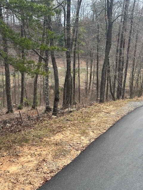 Lot 195 Trails End Way